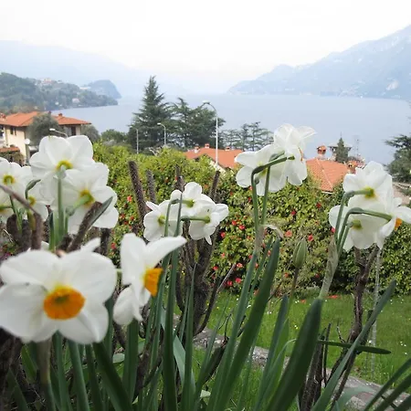 Tatil Evi Panorama *