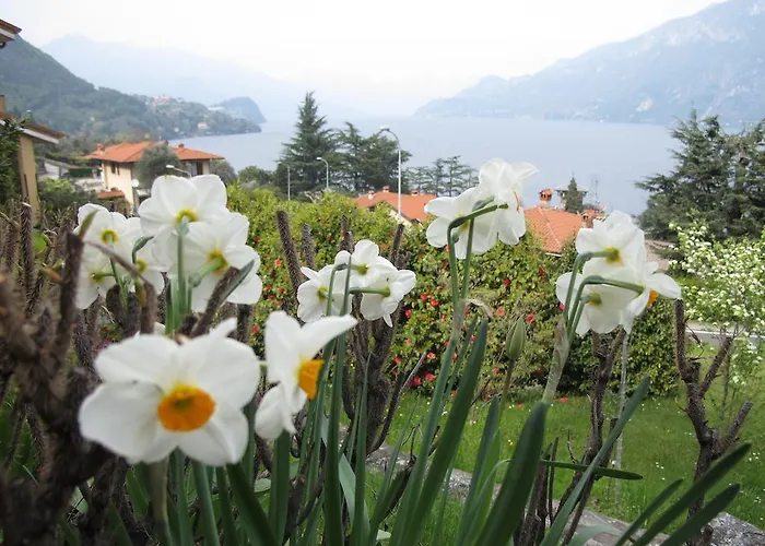 Holiday home Panorama *